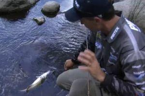 VIDEO: Fishing The Edge – surface cod